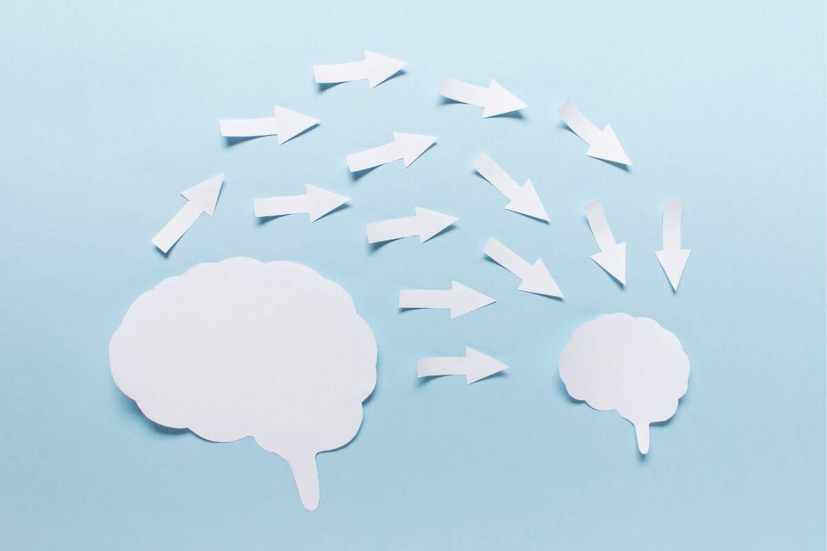 Paper cutouts of two brain shapes, one large and one small, with paper cutout arrows pointing from large brain to small brain.