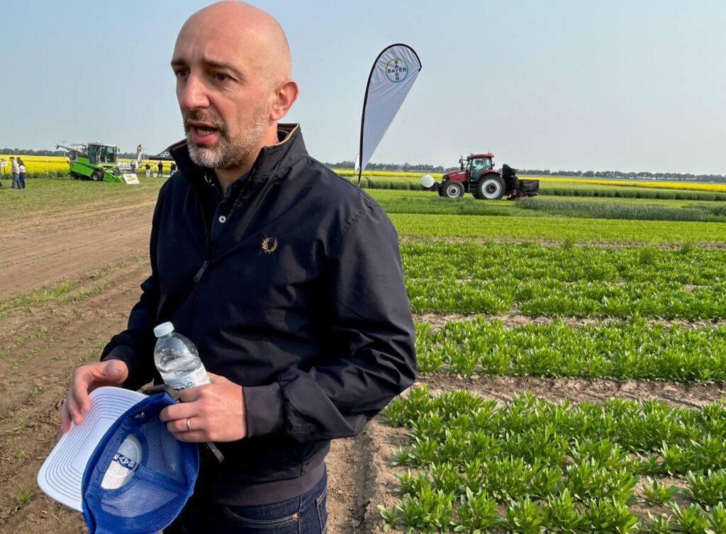 Bayer and BP commit to camelina