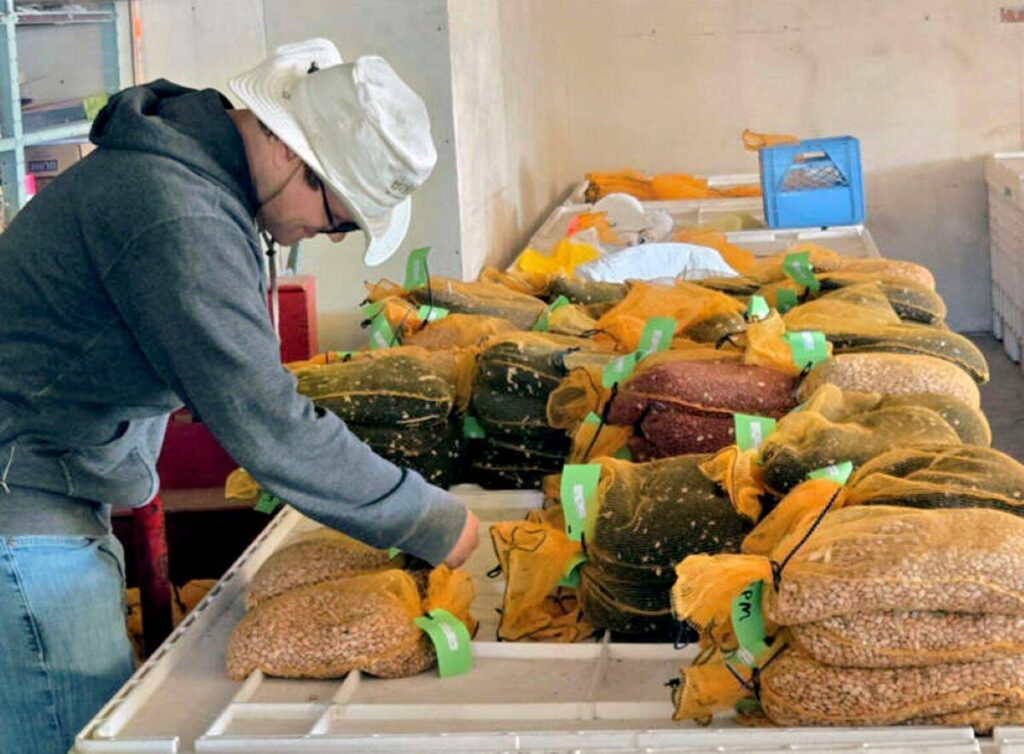 New national standard to give common language for reporting food waste