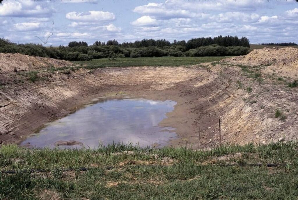 Droughts spur a rethink on watering cattle