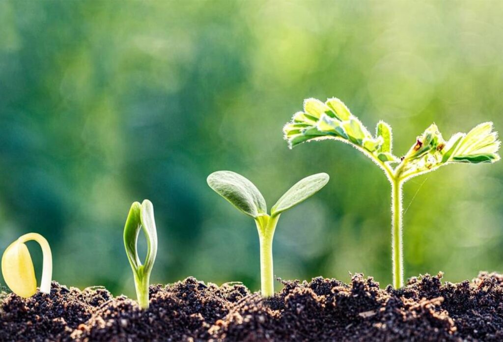 Growth isn’t just about getting bigger