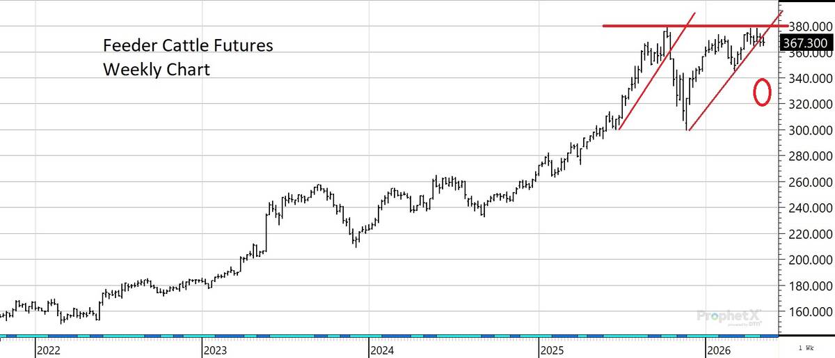 feeder price chart May 21