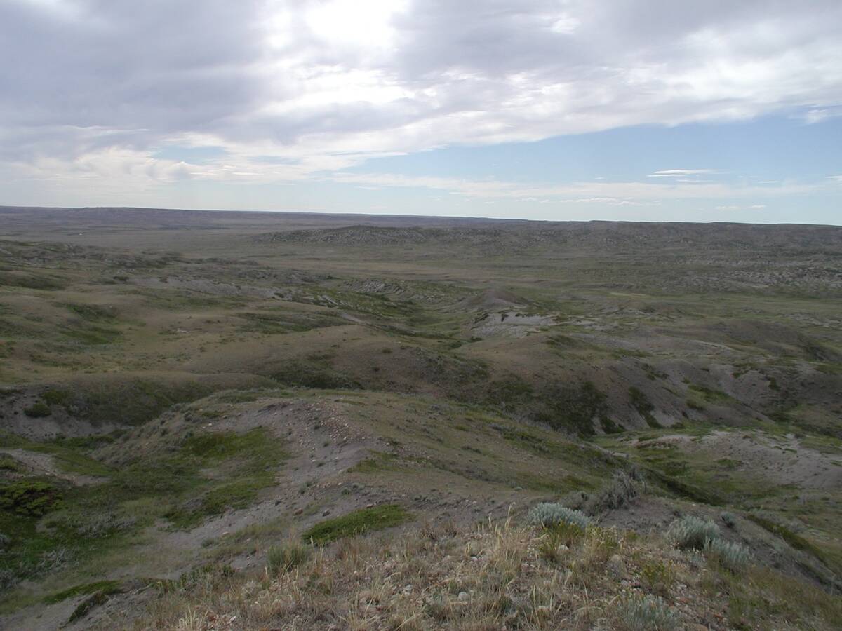 Western Canada grasslands        