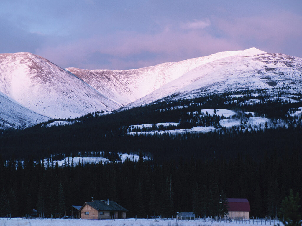 Farming in Canada's north can take a real toll on mental health