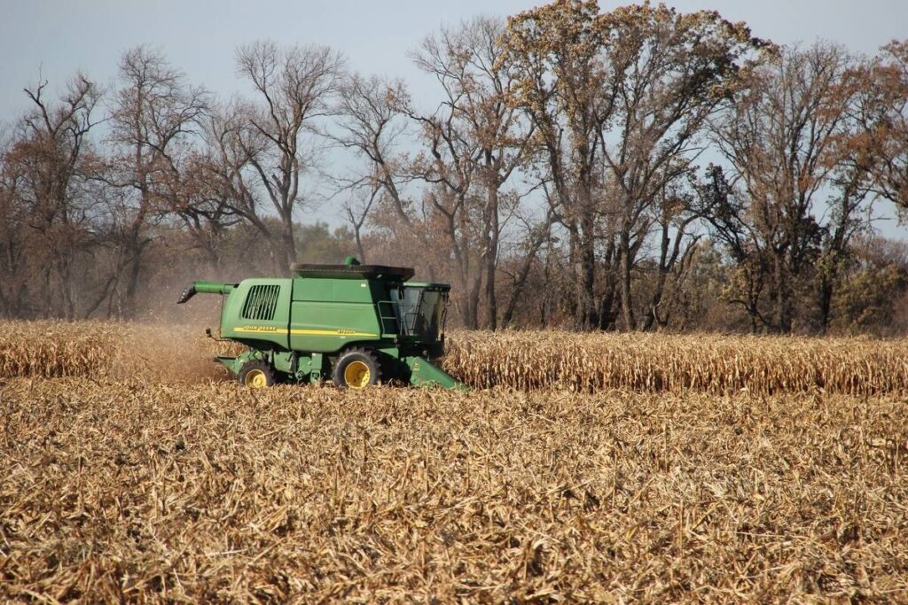Corn harvest near Lavenham, Sask., in October 2018.