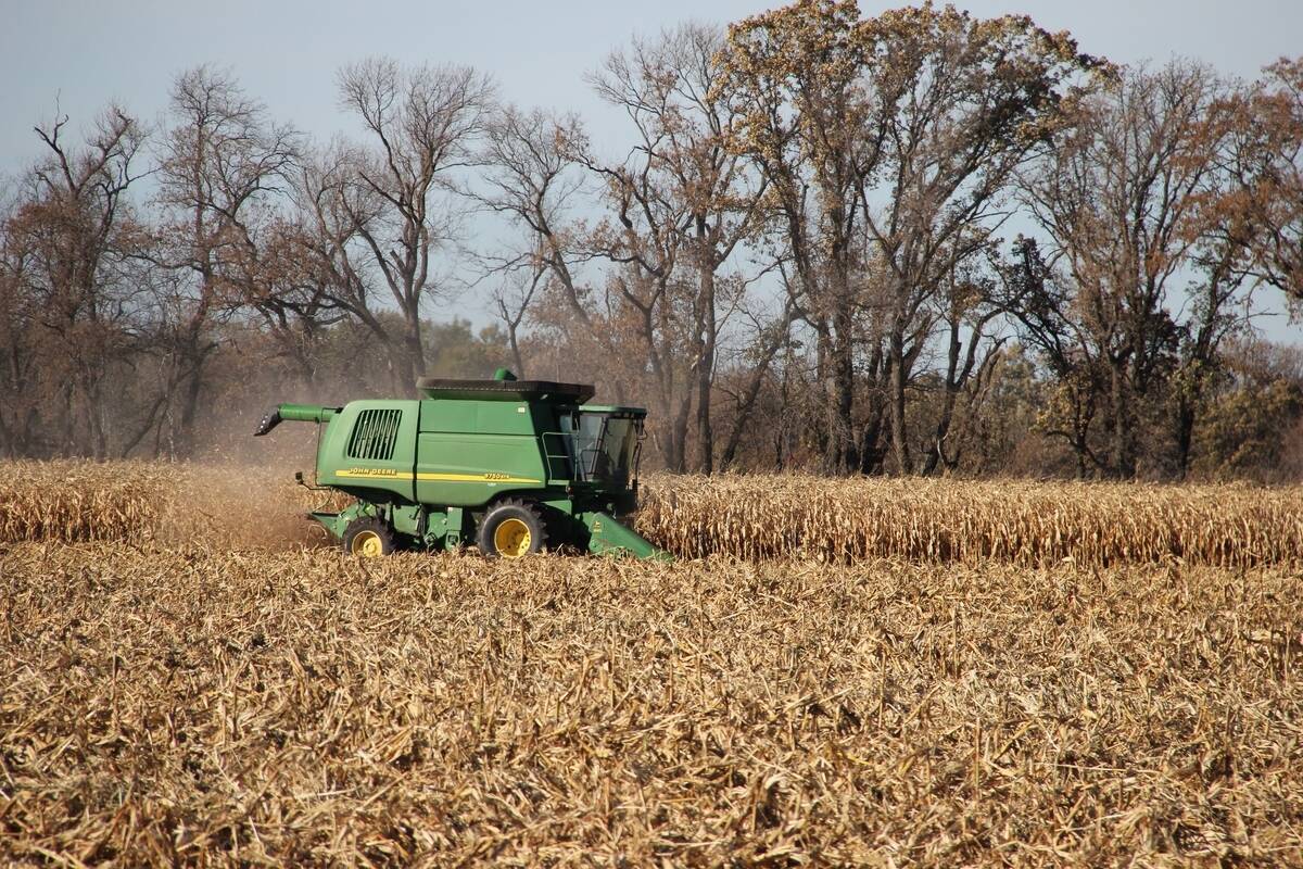 Corn harvest near Lavenham, Sask., in October 2018.