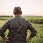 An older male farmer standing looking out over a field, facing away from the camera.