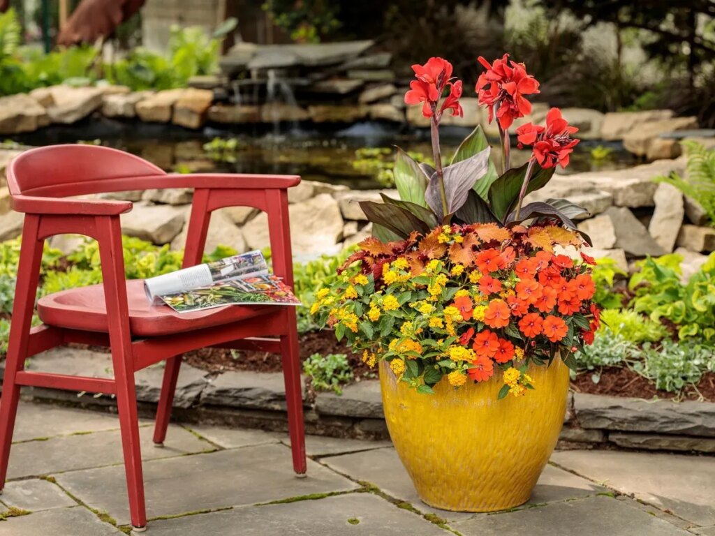 Celebrating the summer with family and friends in your own, beautiful greenspace, is the best reward to good planning and care on your part. 