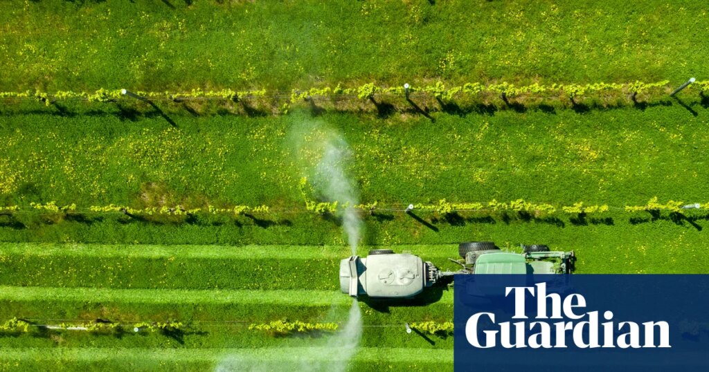 Oil-based products are everywhere, from fertiliser to fashion. What are the alternatives? | Fossil fuels