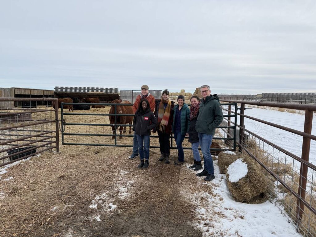 Researchers target parasitic worms to improve animal health
