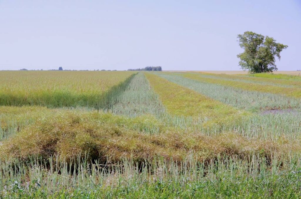 Sask. NDP wants investment trusts barred from buying farmland