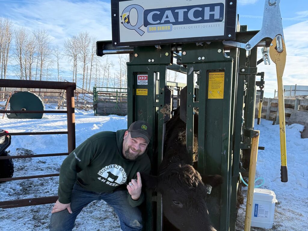 Tests of a virtual fencing system for cattle show numerous benefits