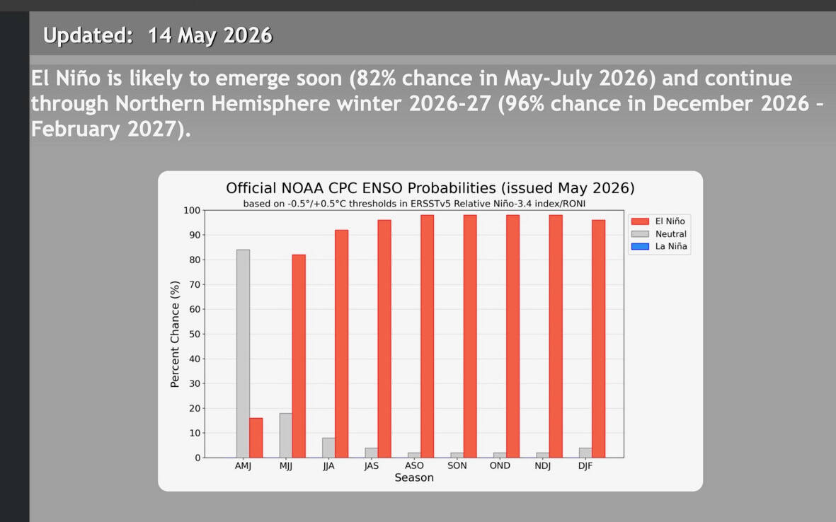 The chances of an El Niño developing, this summer and fall, is more than 90 percent, says the NOAA Climate Prediction Centre | https://www.cpc.ncep.noaa.gov/products/analysis_monitoring/lanina/enso_evolution-status-fcsts-web.pdf 