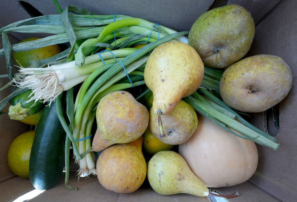Trust is vital ingredient in Canada's food system