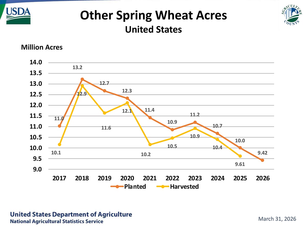 A USDA chrt entitled, "Other Spring Wheat Acres - United States," showing a steady decline in acres planted from 2018 to present.