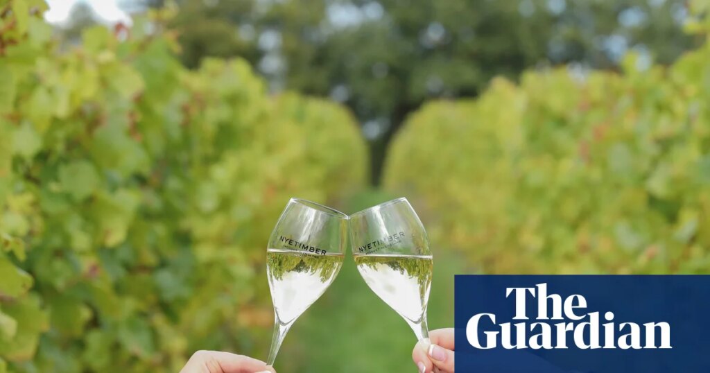 ‘A world-class producer’: English wines toast record gold medal haul | Wine