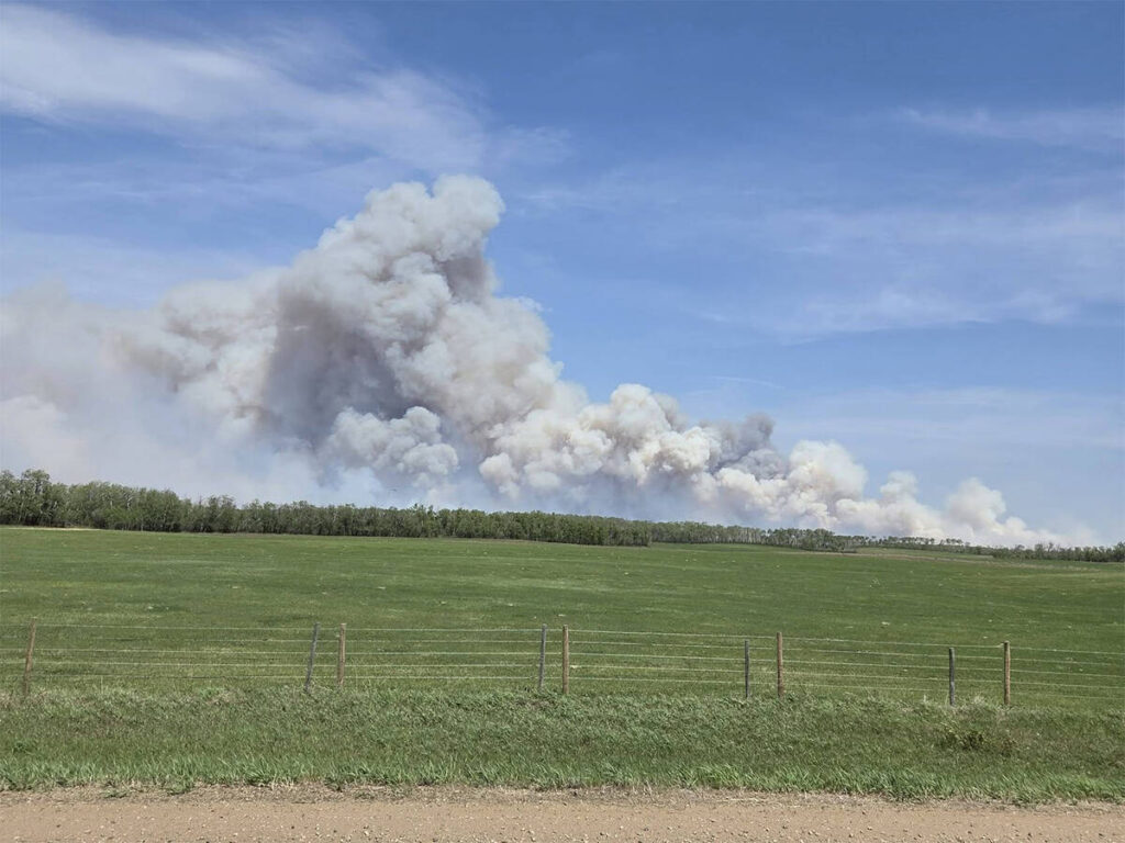 Ranchers moving cattle due to fire near Duck Lake, Saskatchewan