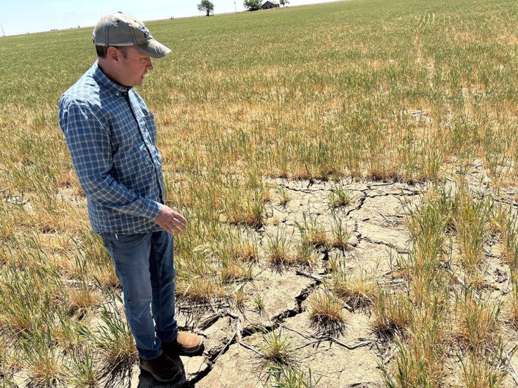 American farmers face 'three strikes' this year