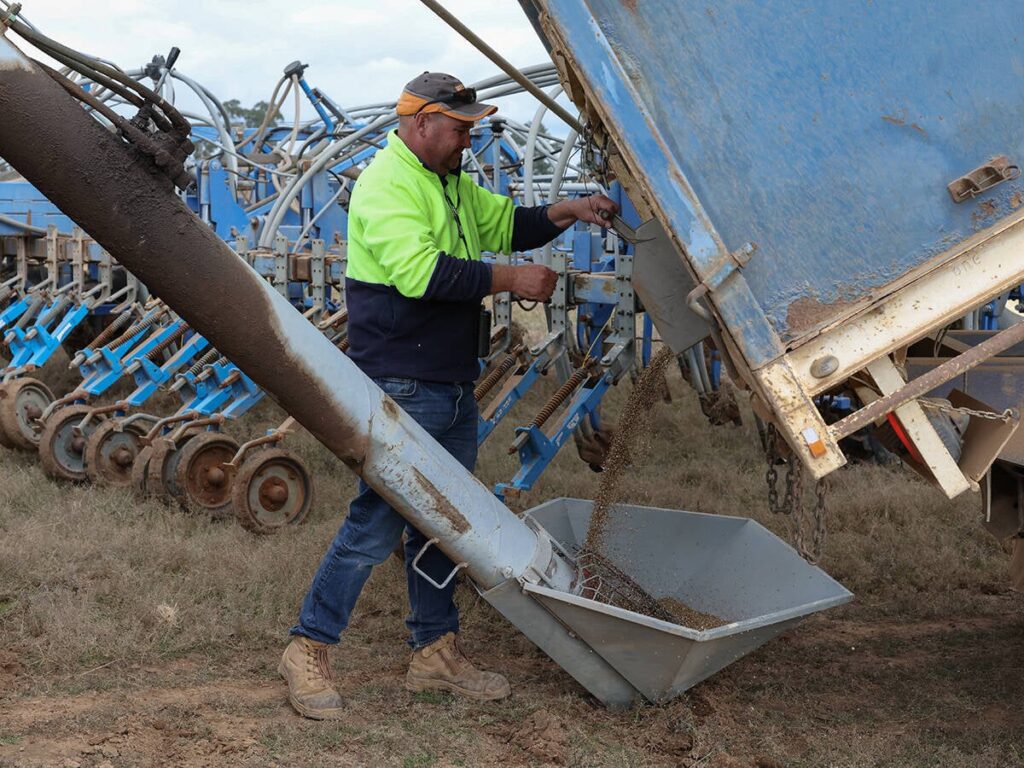 Australian wheat production suffers major hit