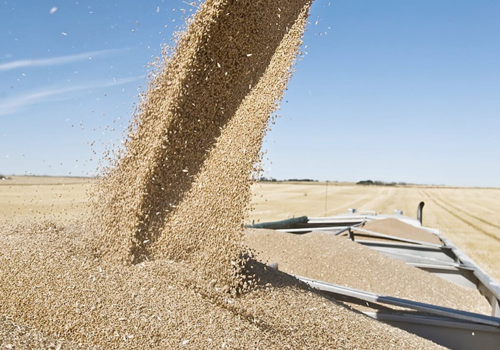 Fertilizer industry expert thinks current crisis may end well for ag