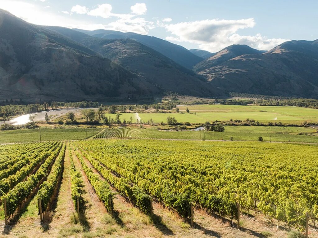 The Similkameen Valley wine-growing region. 