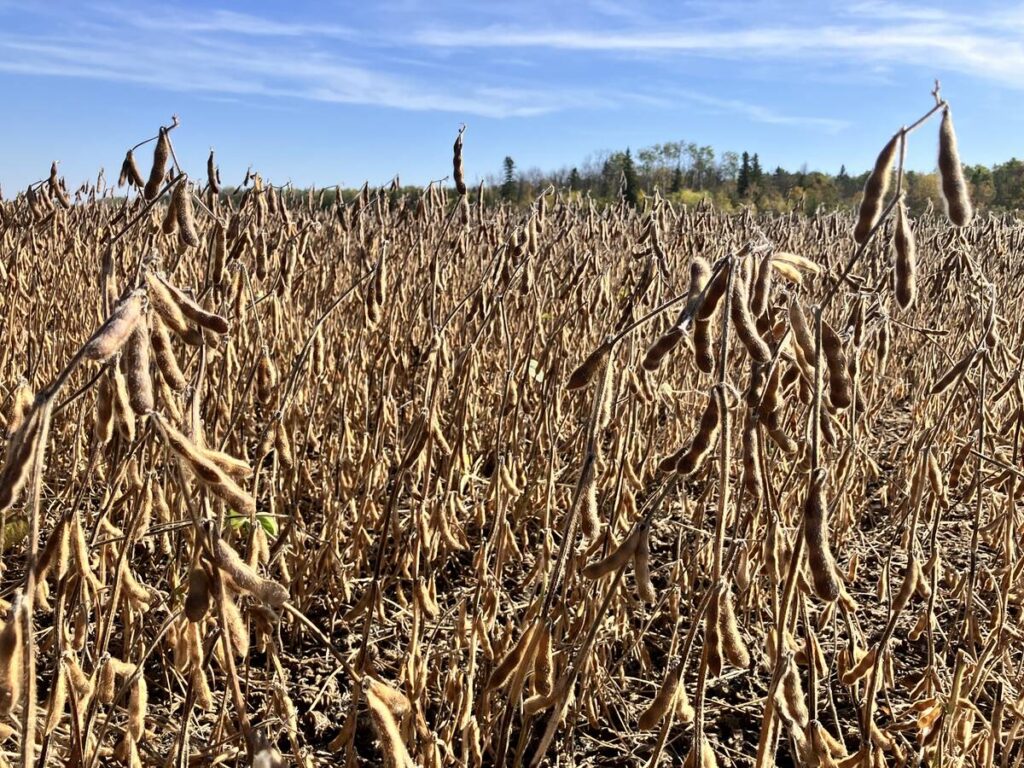 U.S.-China trade deal may re-route Brazilian farm exports