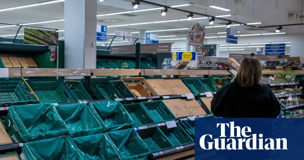 ‘Immediate national priority’: ministers accused of complacency over UK food supply | Food & drink industry