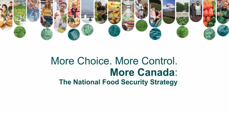 Launch of National Food Security Strategy
