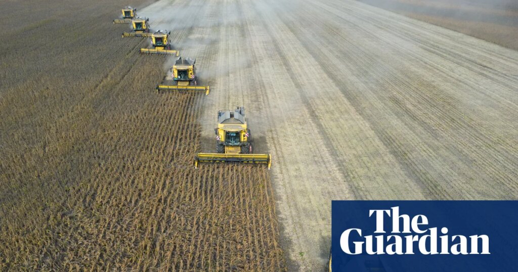 ‘Super’ El Niño could cause global food price shock lasting into 2028, analysts say | Global economy